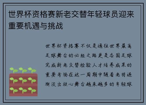 世界杯资格赛新老交替年轻球员迎来重要机遇与挑战
